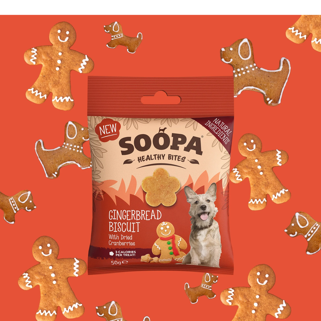 Soopa Gingerbread Biscuit Bites 